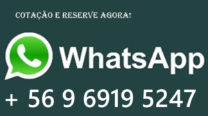 Tour privado na neve em Santiago